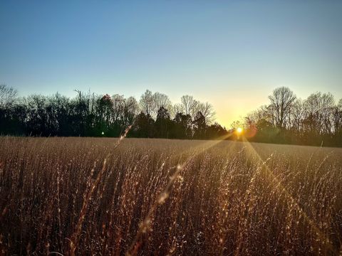 0 Owl Hollow Rd Franklin TN 37064