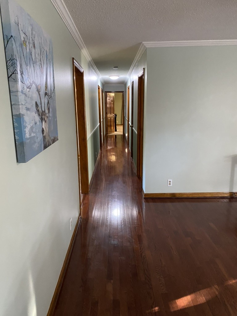 Columbia, Tennessee 38401, United States, 4 Bedrooms Bedrooms, ,2 BathroomsBathrooms,Residential,Active,10445