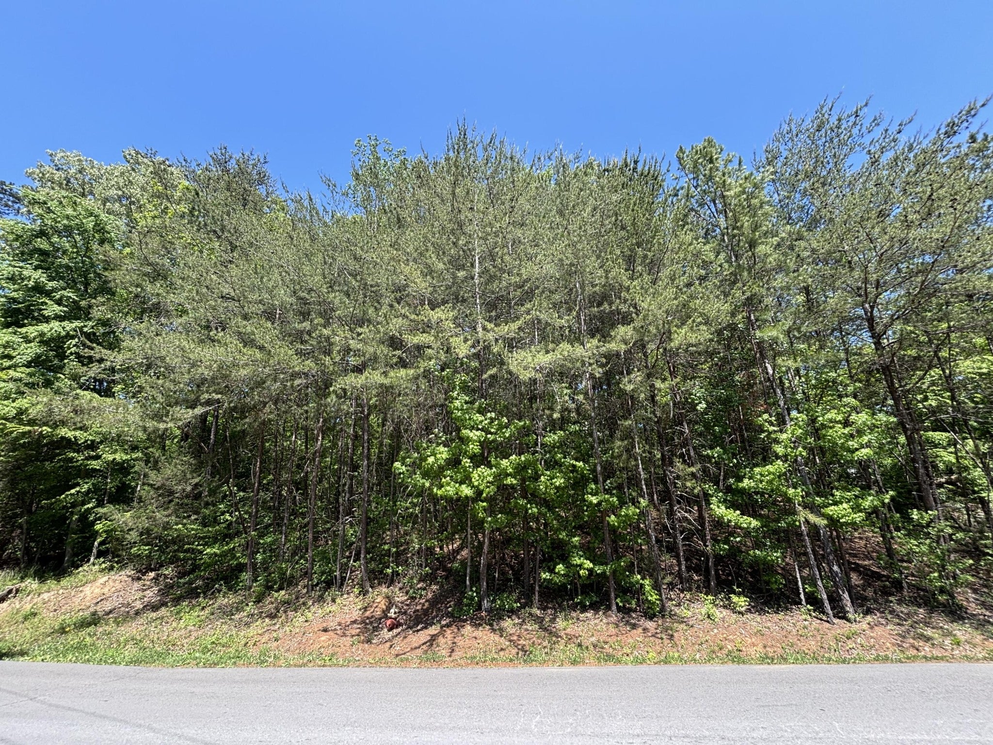 670 Lake View Drive