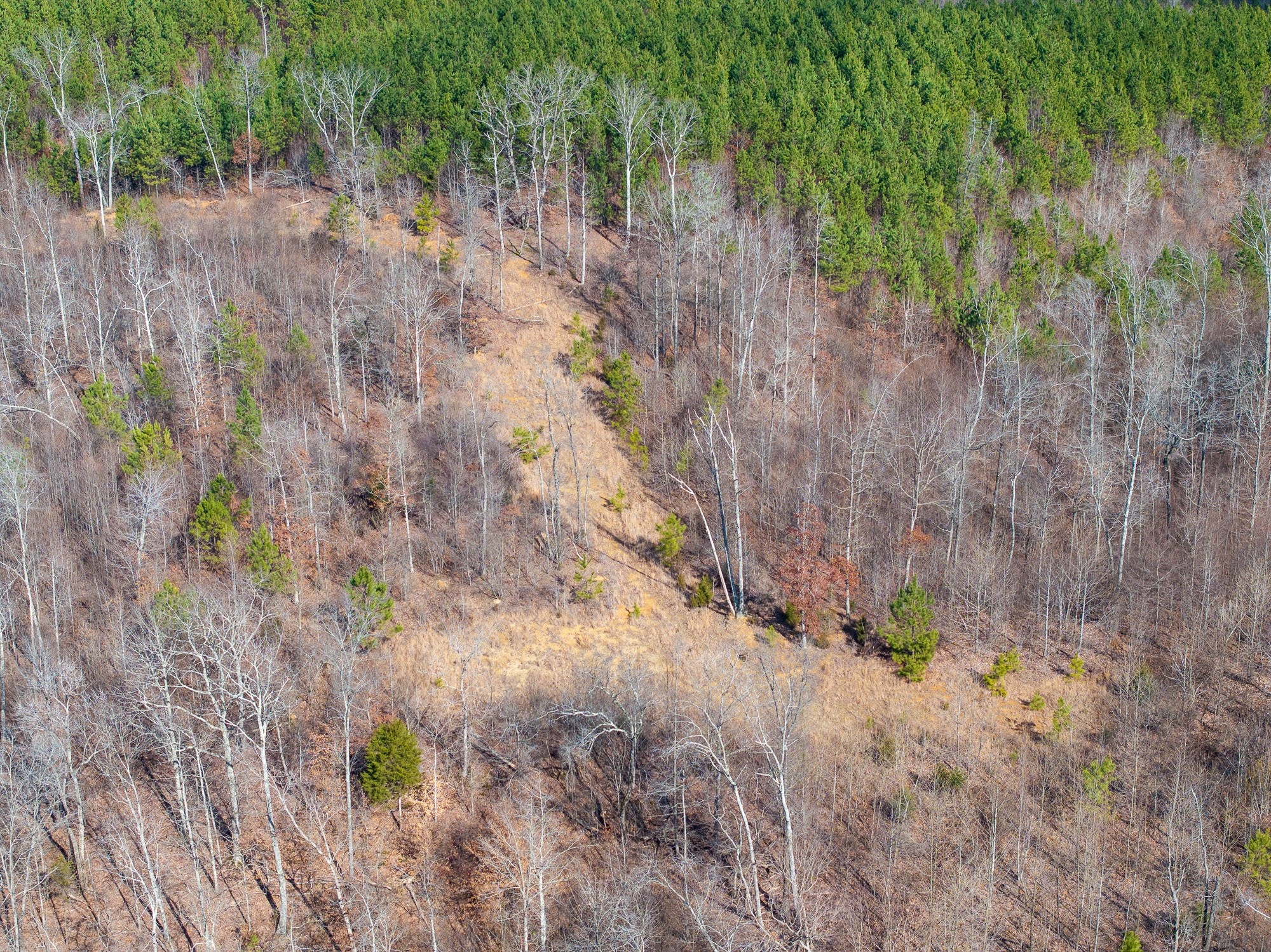 417 Sugar Tree School Rd