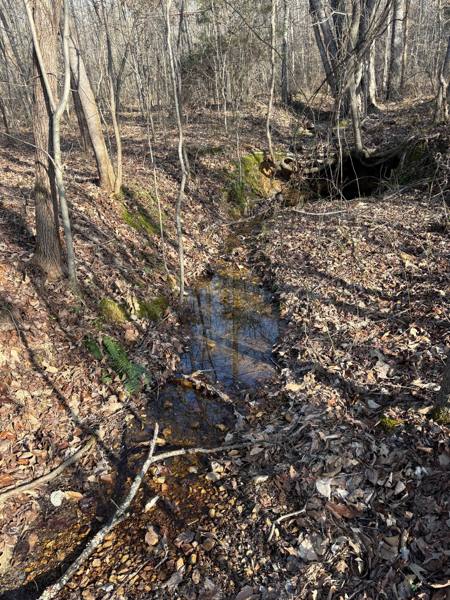 417 Sugar Tree School Rd