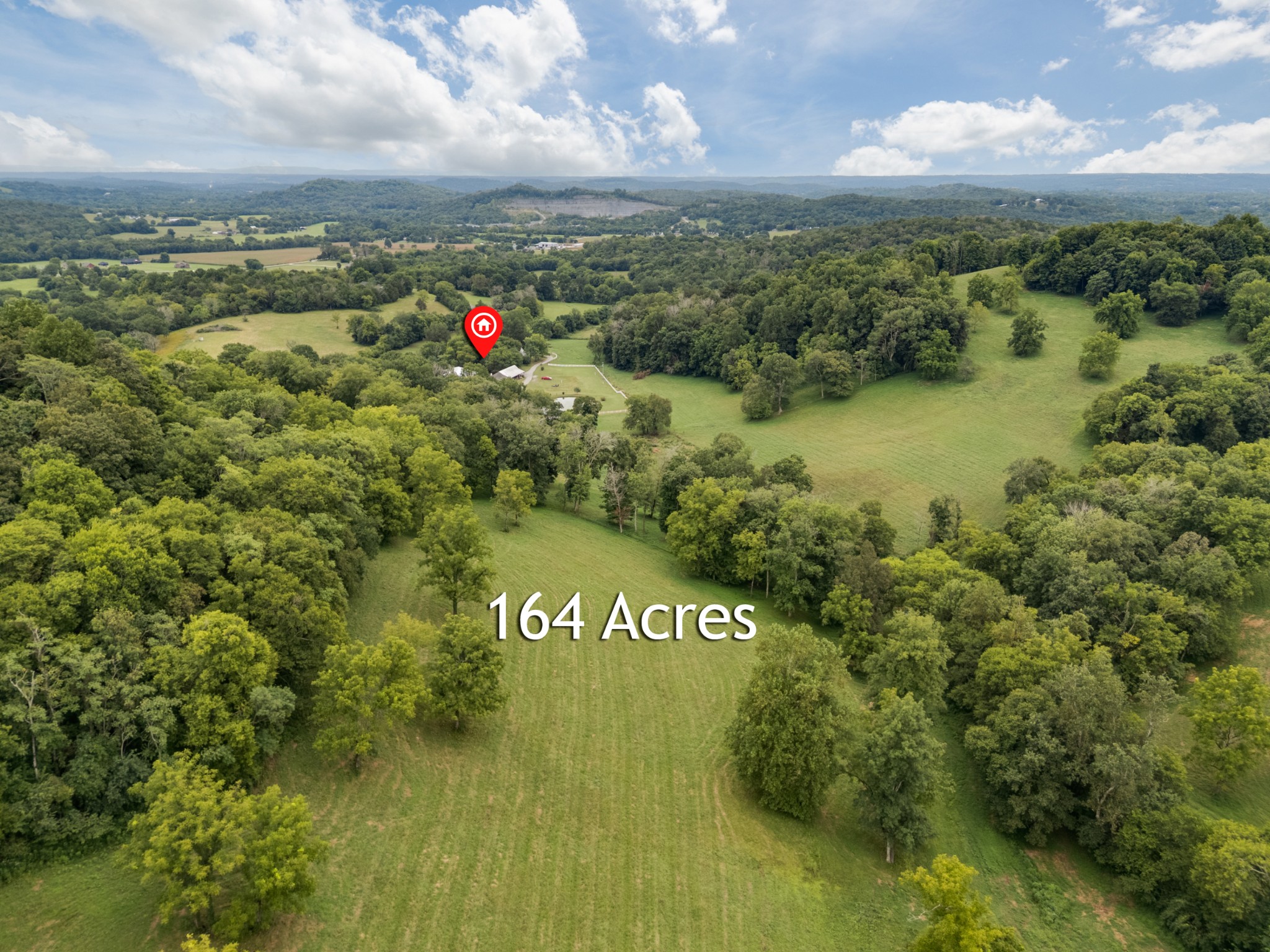 54 Warden Rd
