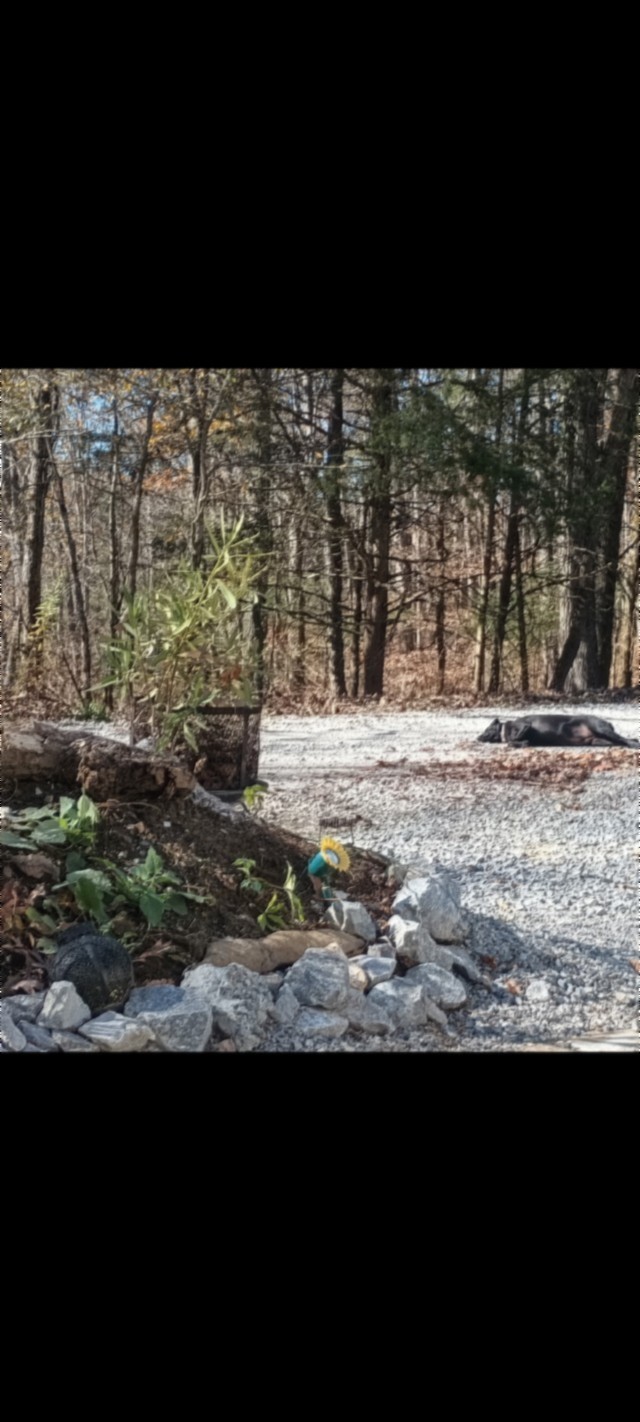 837 Rock Springs Rd