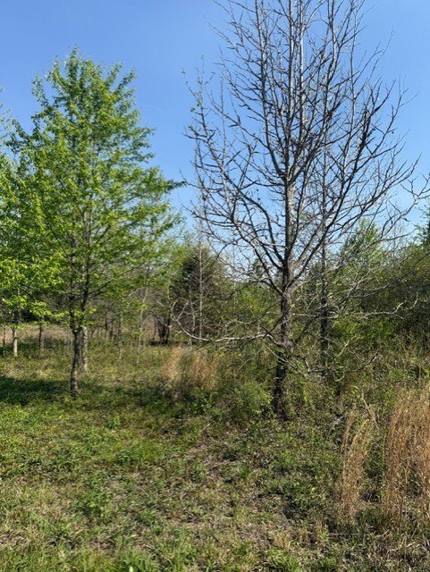 185 Scott Orchard Rd