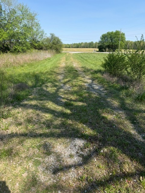 185 Scott Orchard Rd