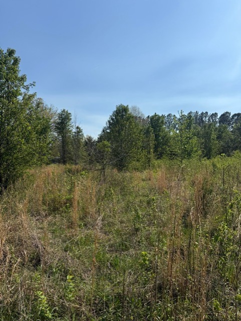 185 Scott Orchard Rd