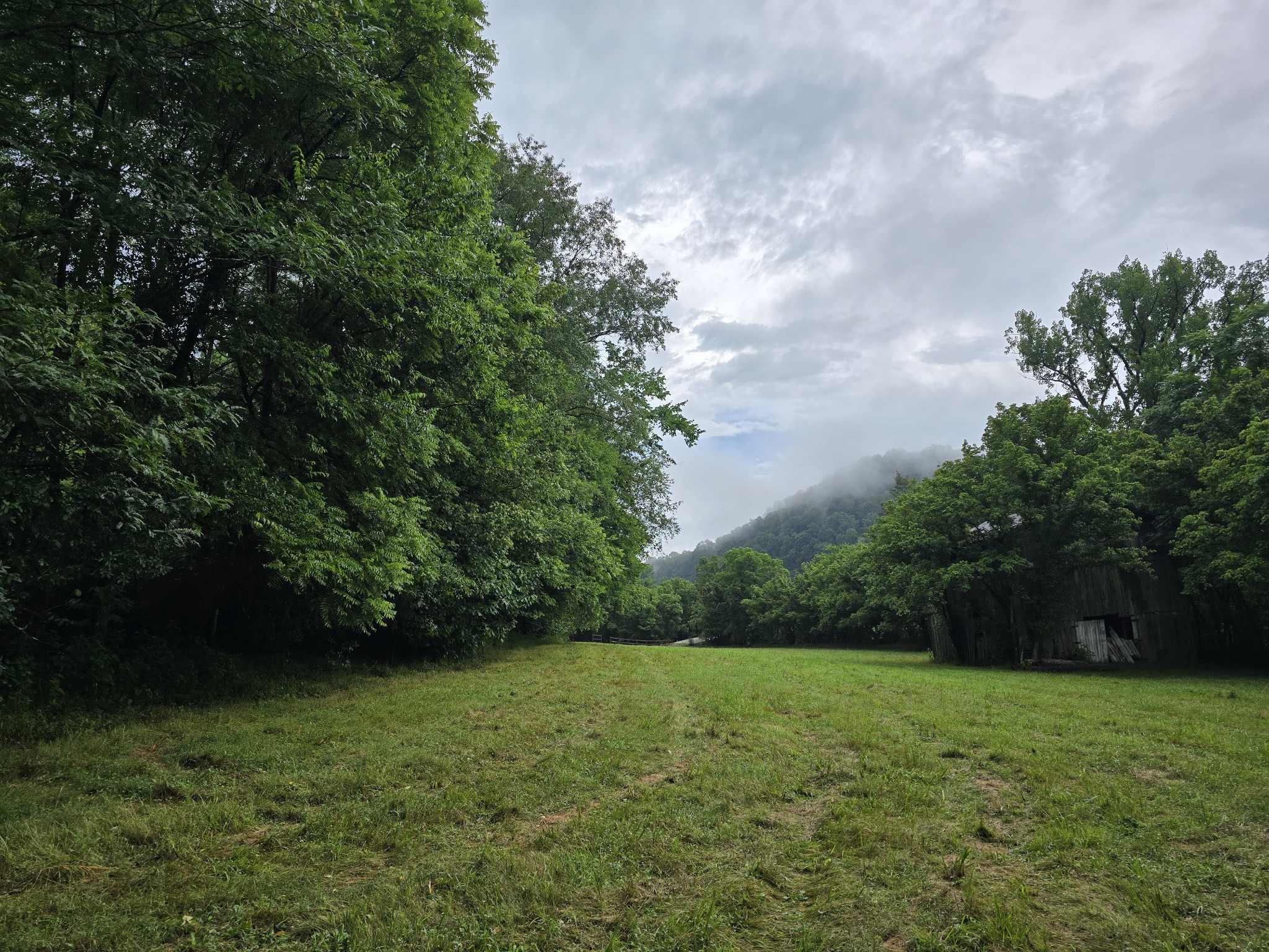 296 Little Creek Rd