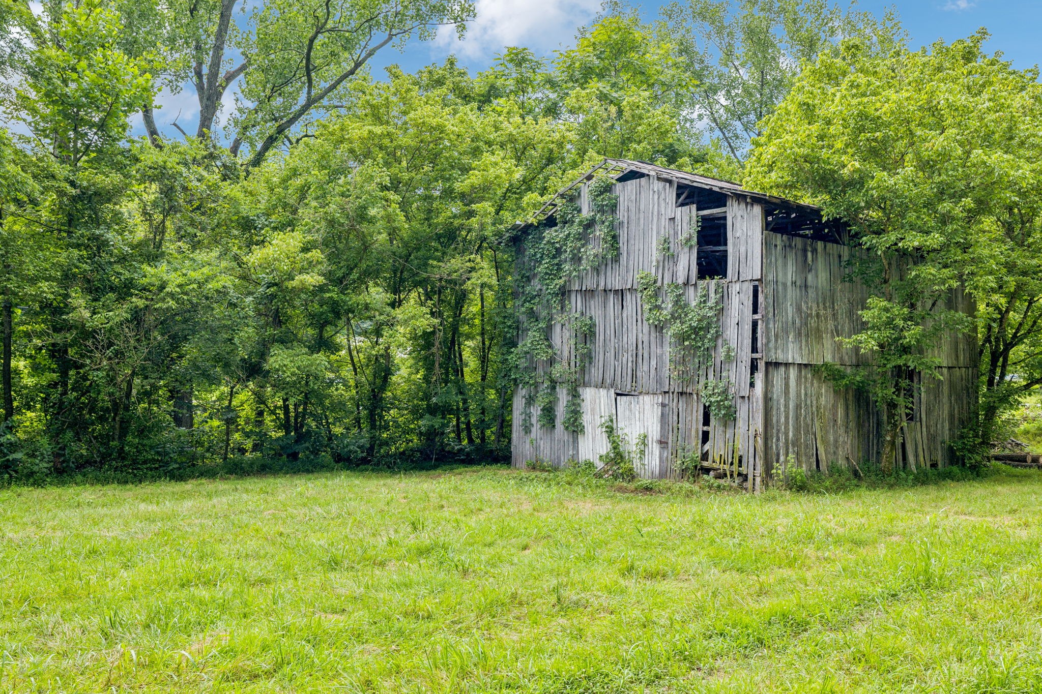 296 Little Creek Rd