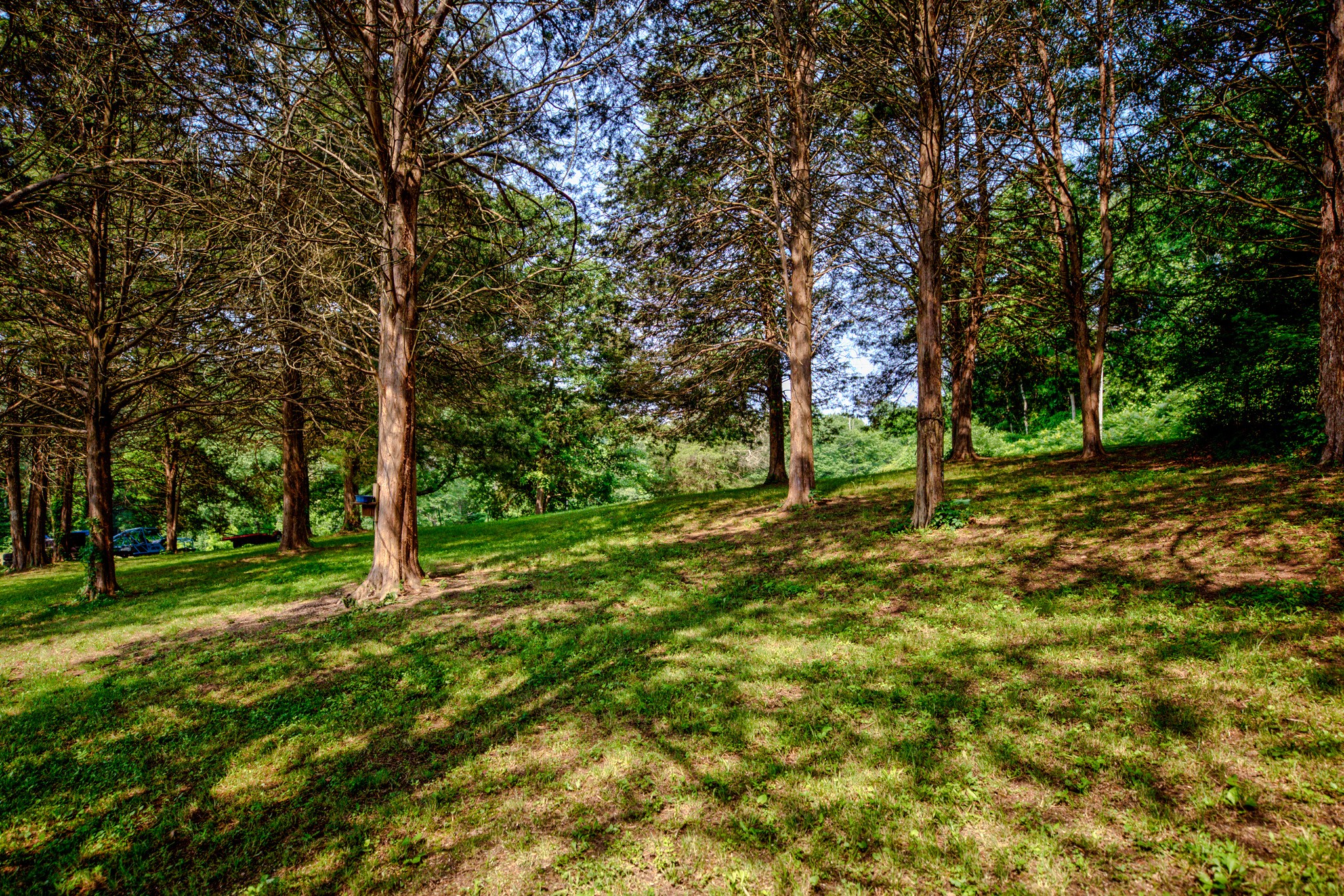 1216 Sams Creek Rd