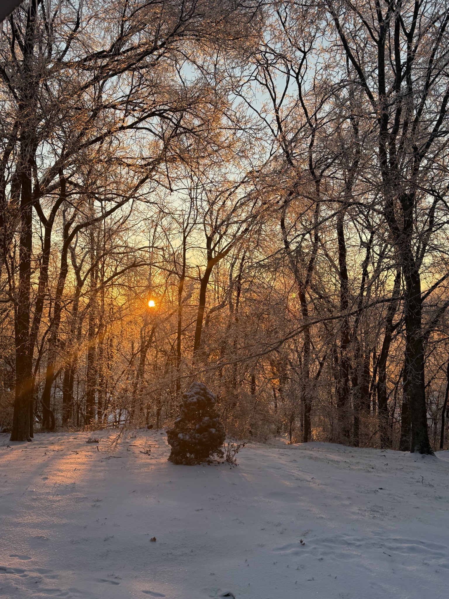 6480 Peytonsville Arno Rd