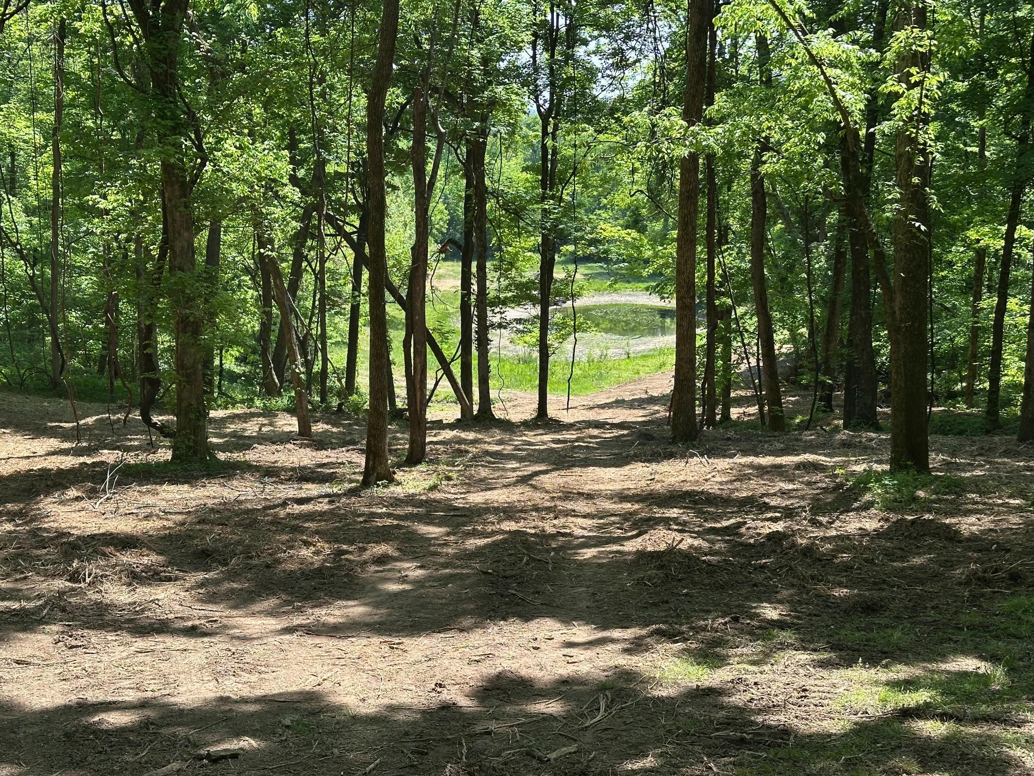 10515 Paw Paw Springs Rd