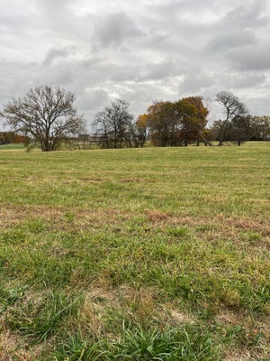 0 GLEN RAVEN ROAD, CEDAR HILL, TN 37032 - Image d64c486d4bb99be668a9f565811f076e/1920958090