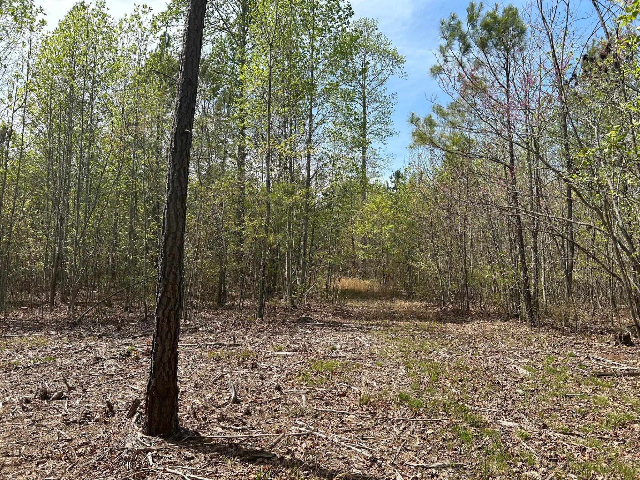 6390 Raulston Falls Rd