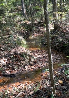 534 Whitney Branch Rd
