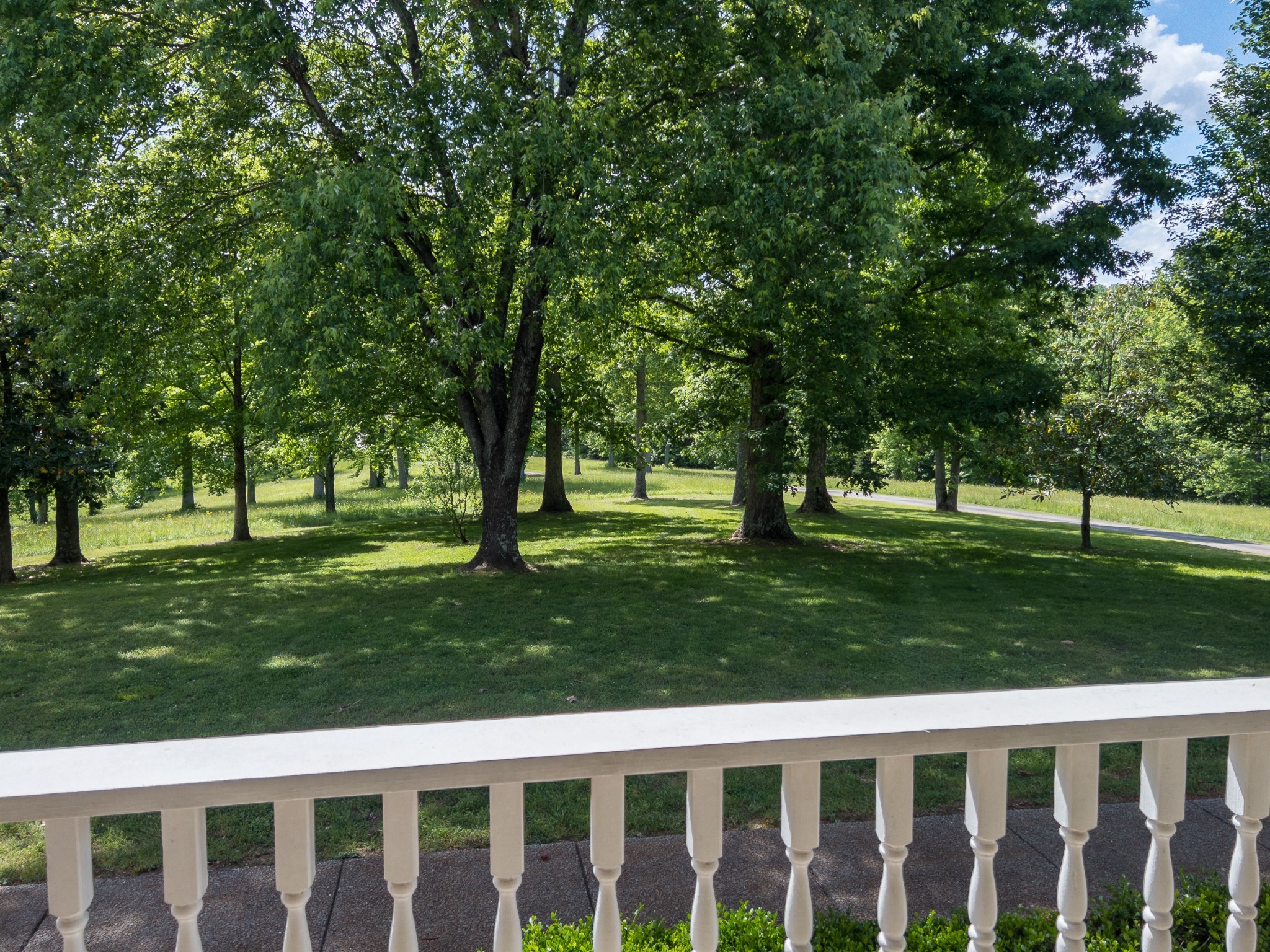 904 Weeping Willow Rd