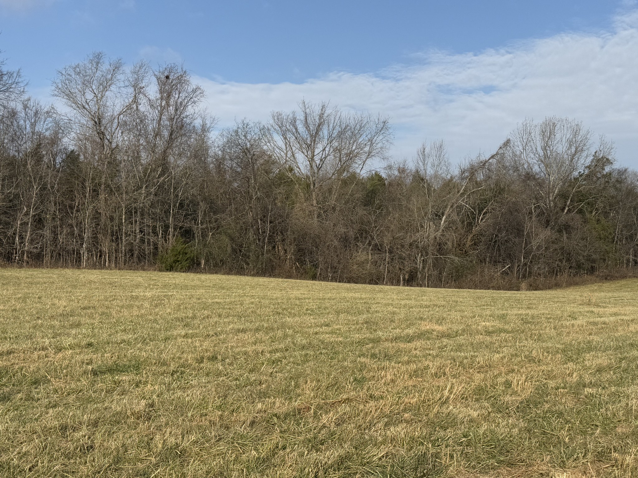 0 Trousdale Ferry Pike