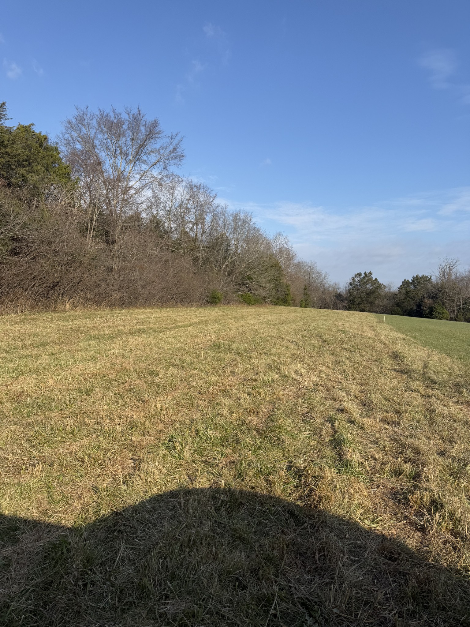 0 Trousdale Ferry Pike