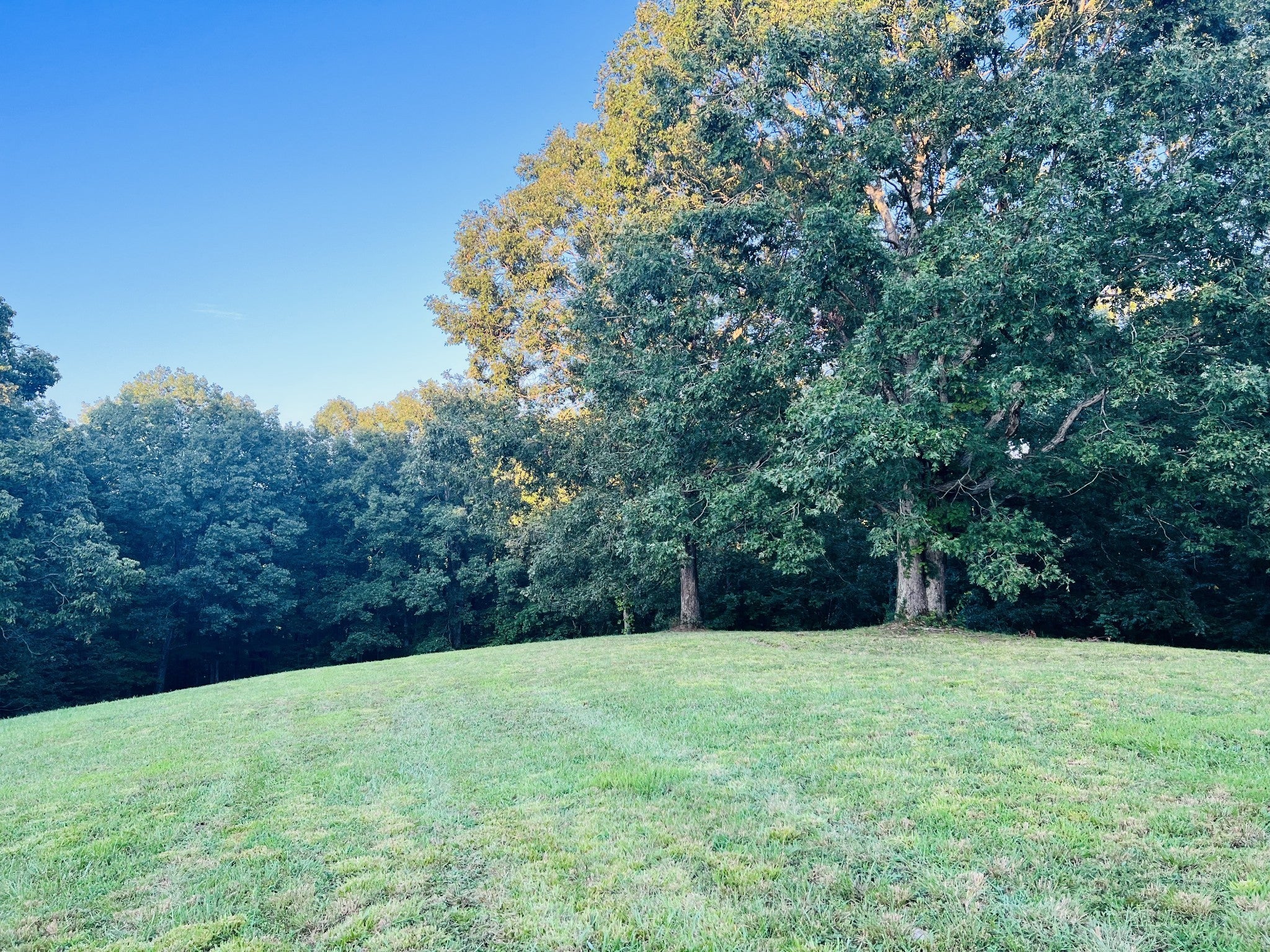 545 Deepwood Drive