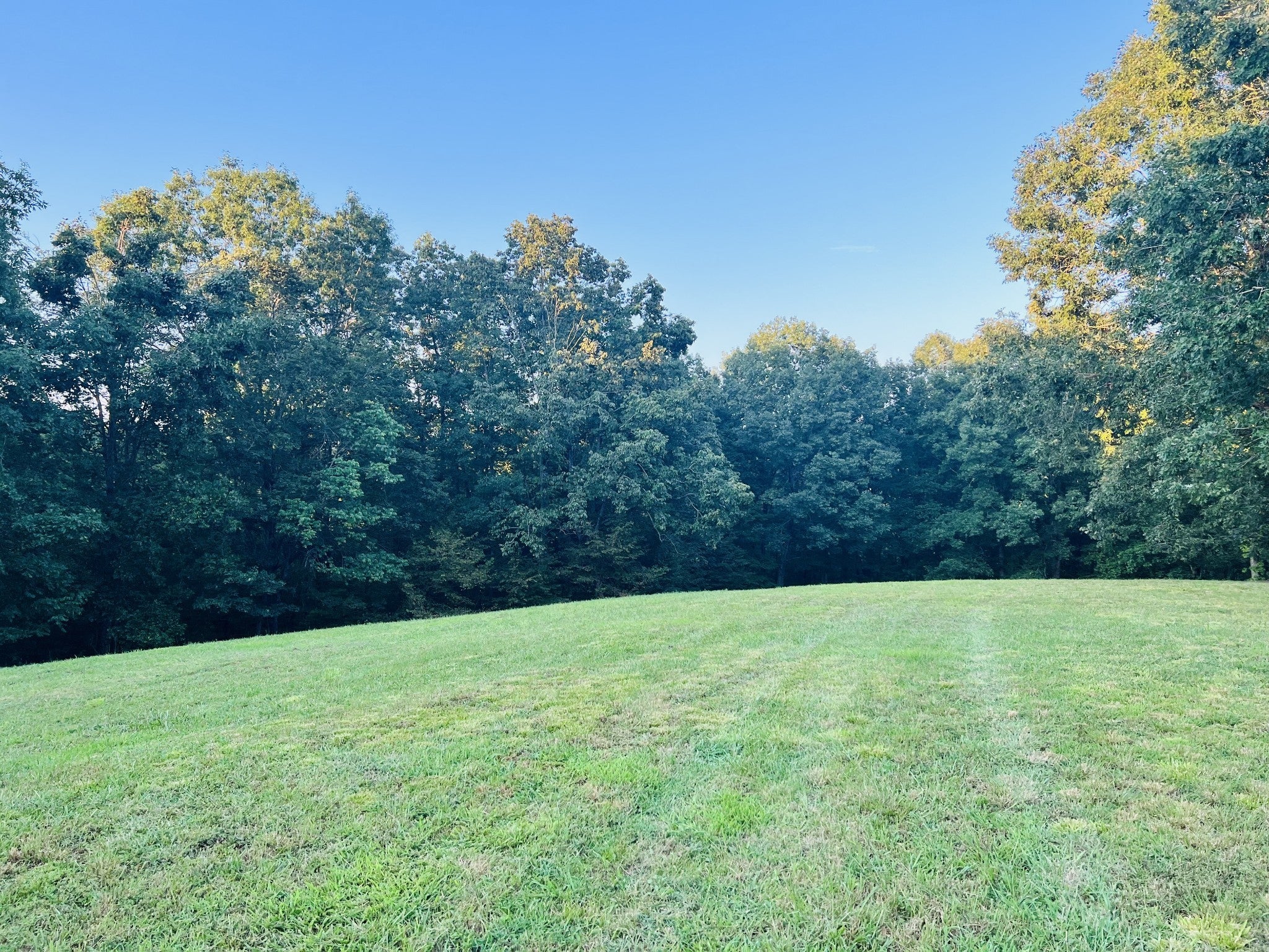 545 Deepwood Drive