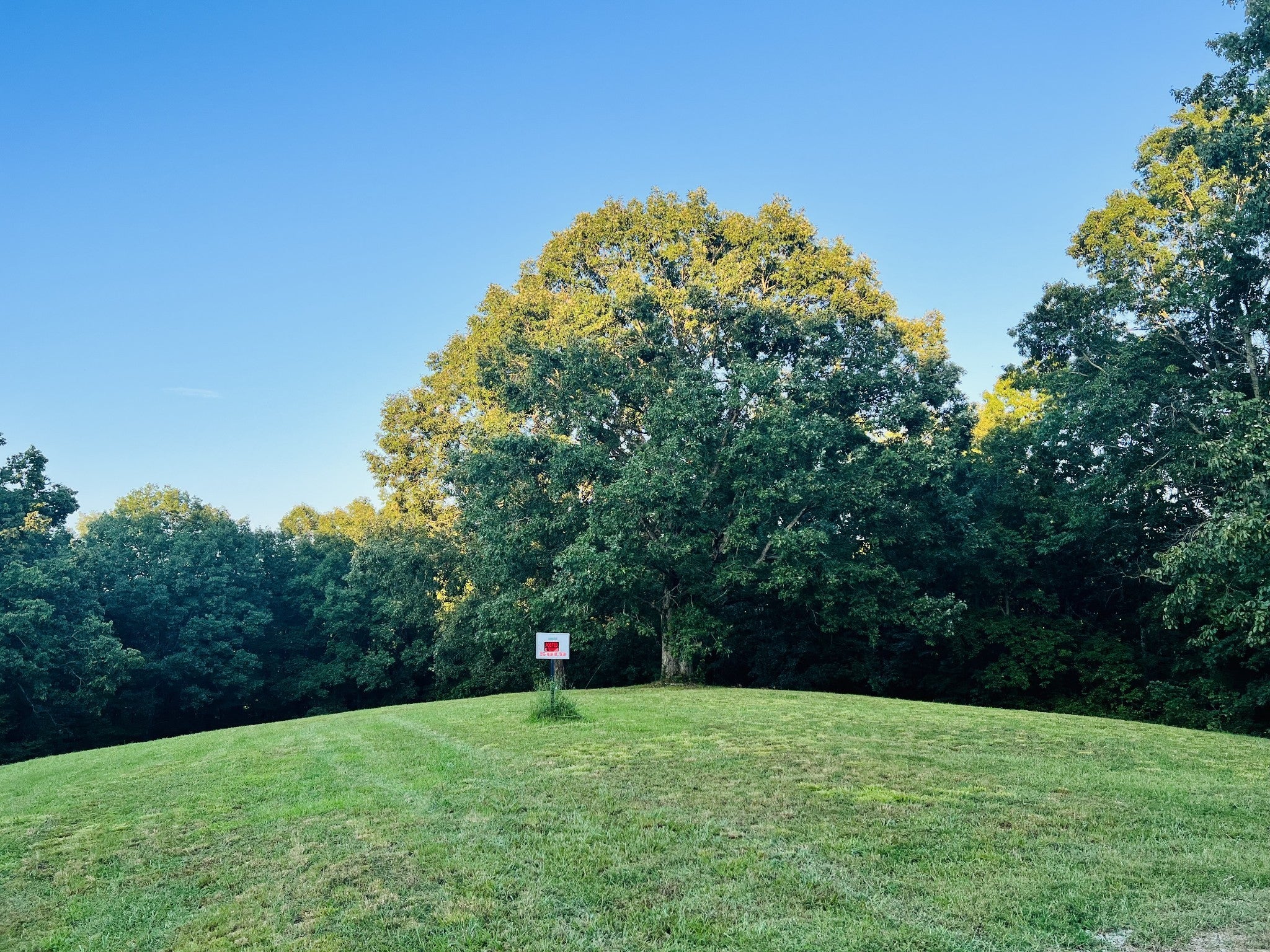 545 Deepwood Drive