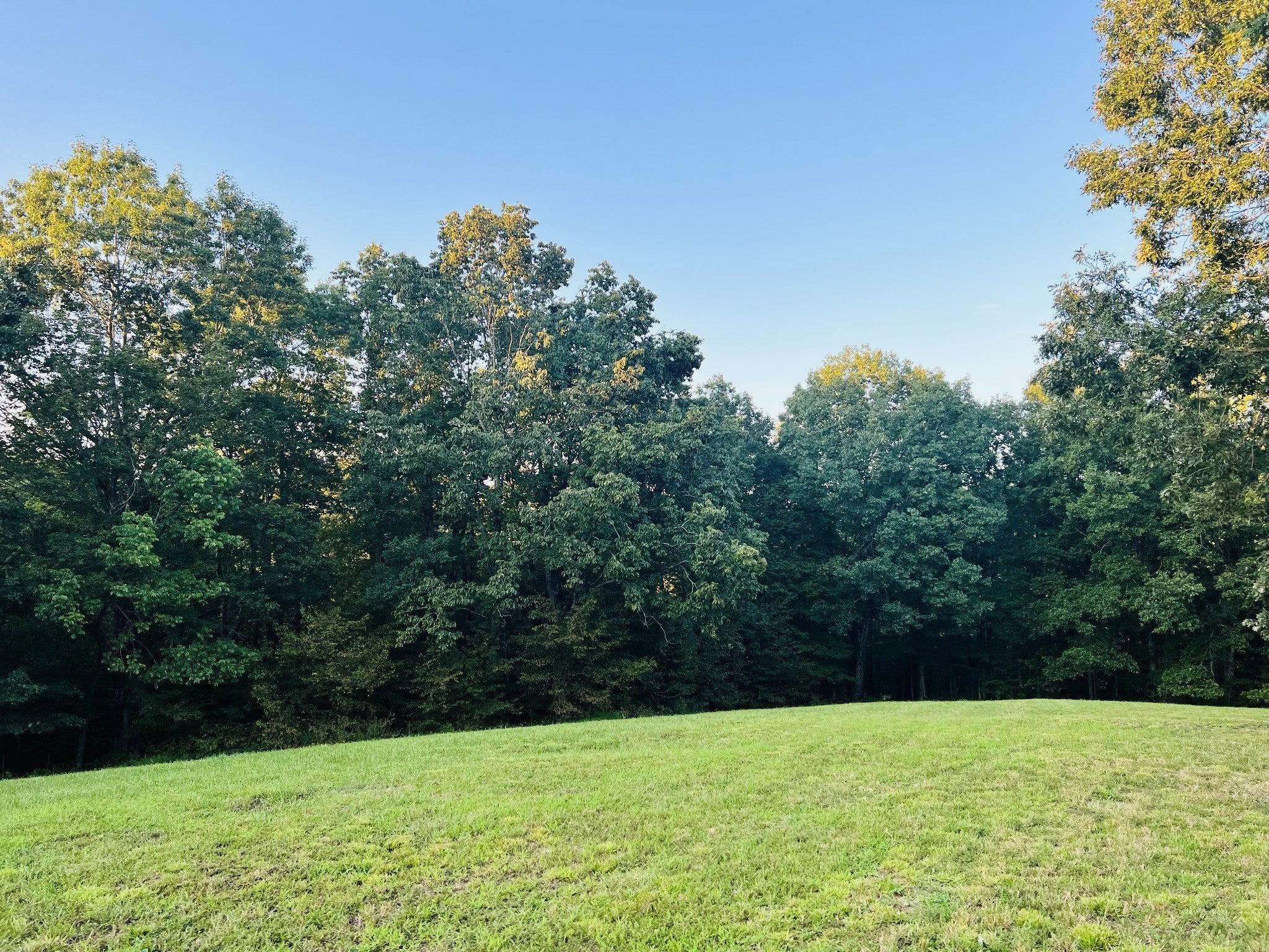 545 Deepwood Drive