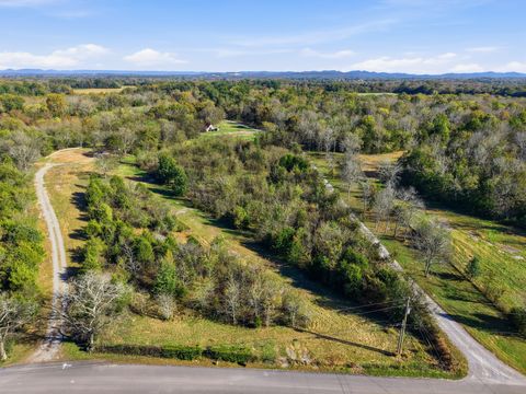 8919 Carlton Rd Christiana TN 37037