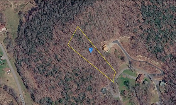 226 BLACK BEAR RDG, ROAN MOUNTAIN, TN 37687 - Image d6c0903837f07bd5b4c5d27e76a5c8cf/75405096