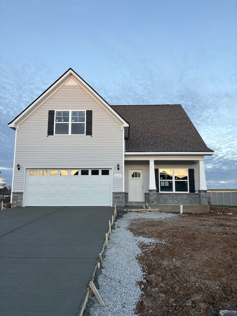 425 Burton Farm Dr Smyrna TN 37167