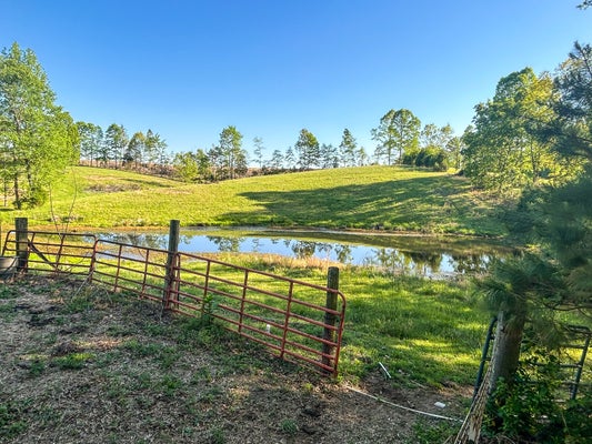 1185 BLACKBURN RD, MC KENZIE, TN 38201 - Image d6d2db238e78b7f7a4c401a8da1df86d/1396390138