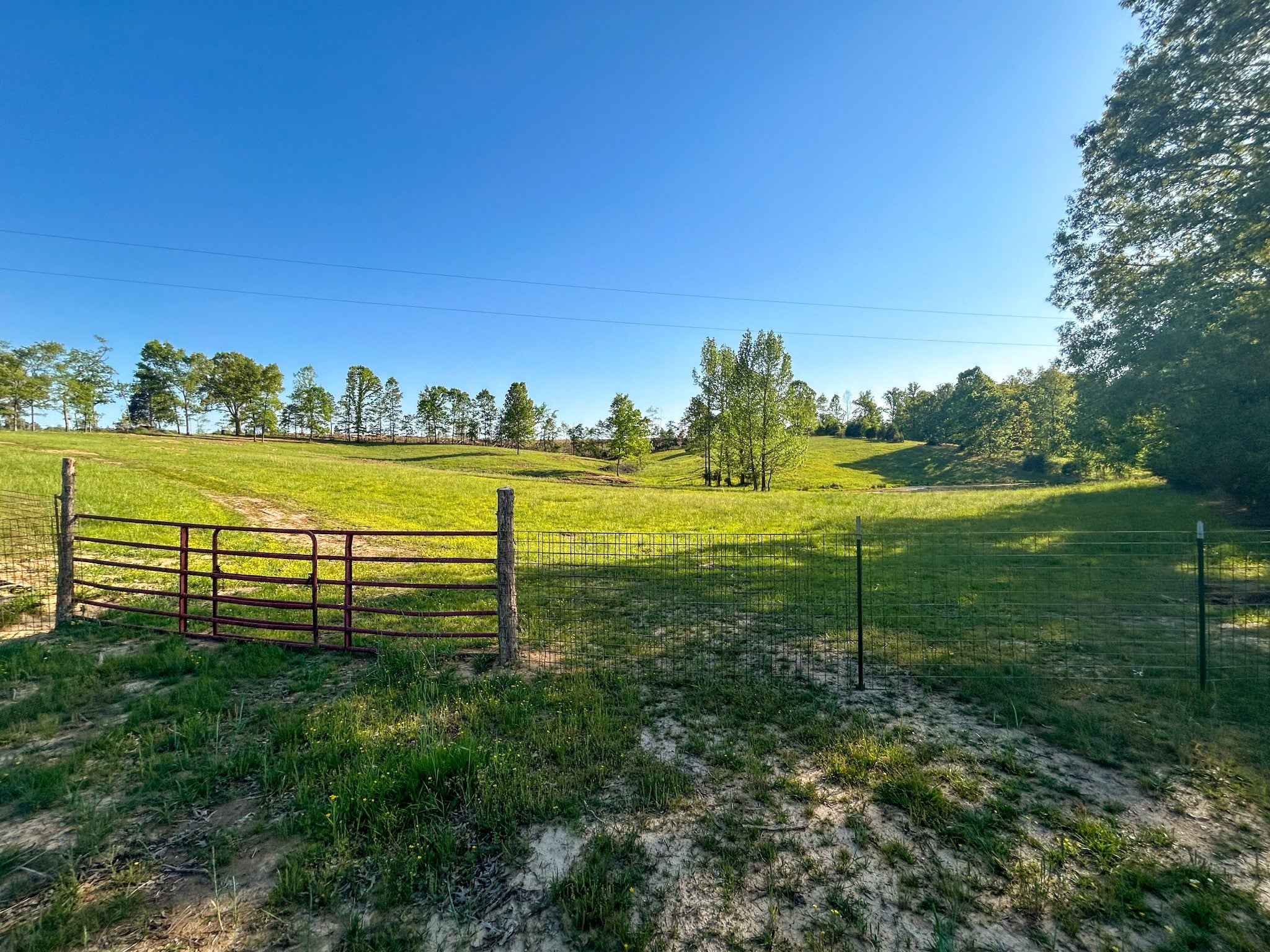 1185 Blackburn Rd
