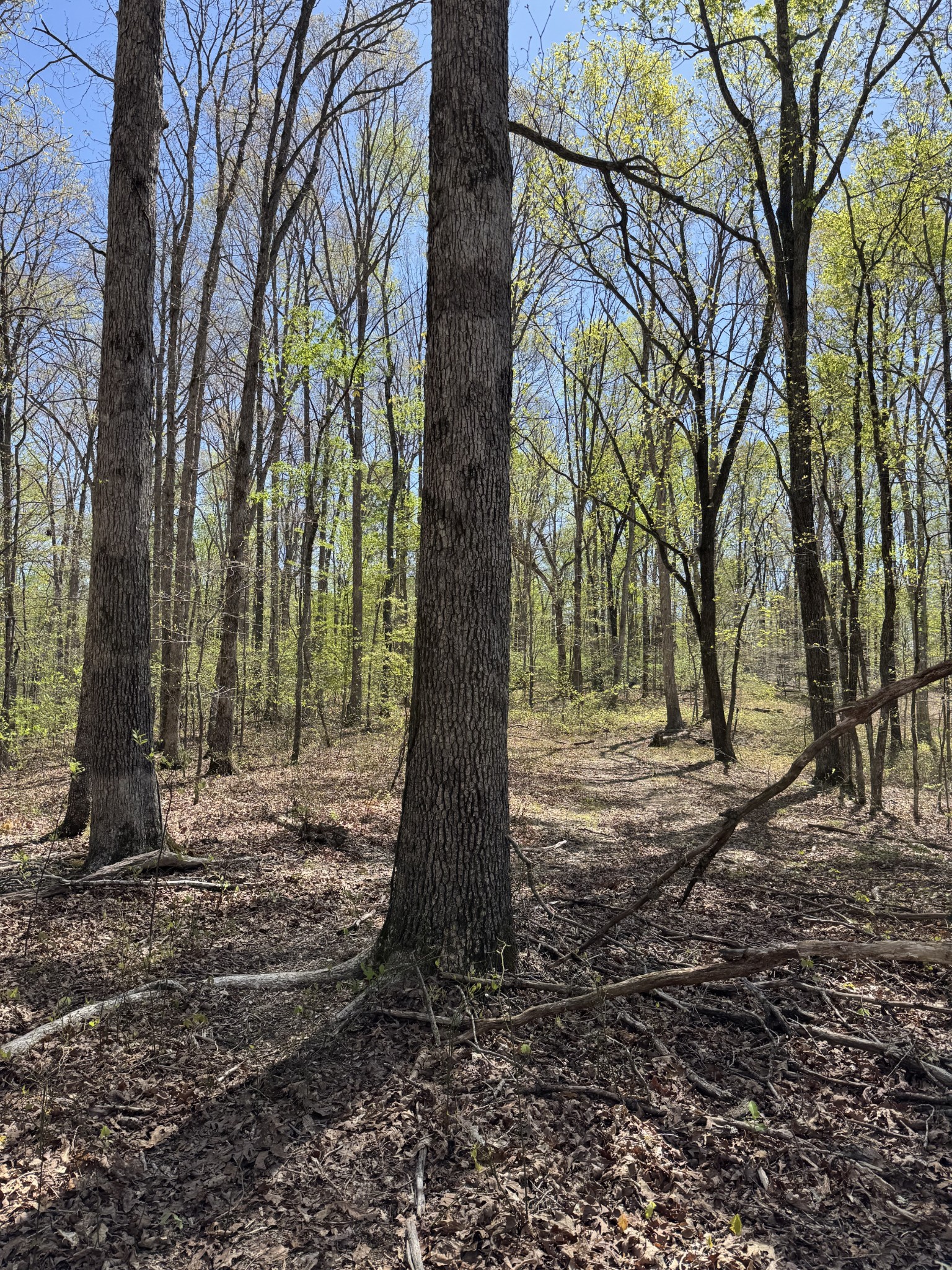 0 Indian Trail