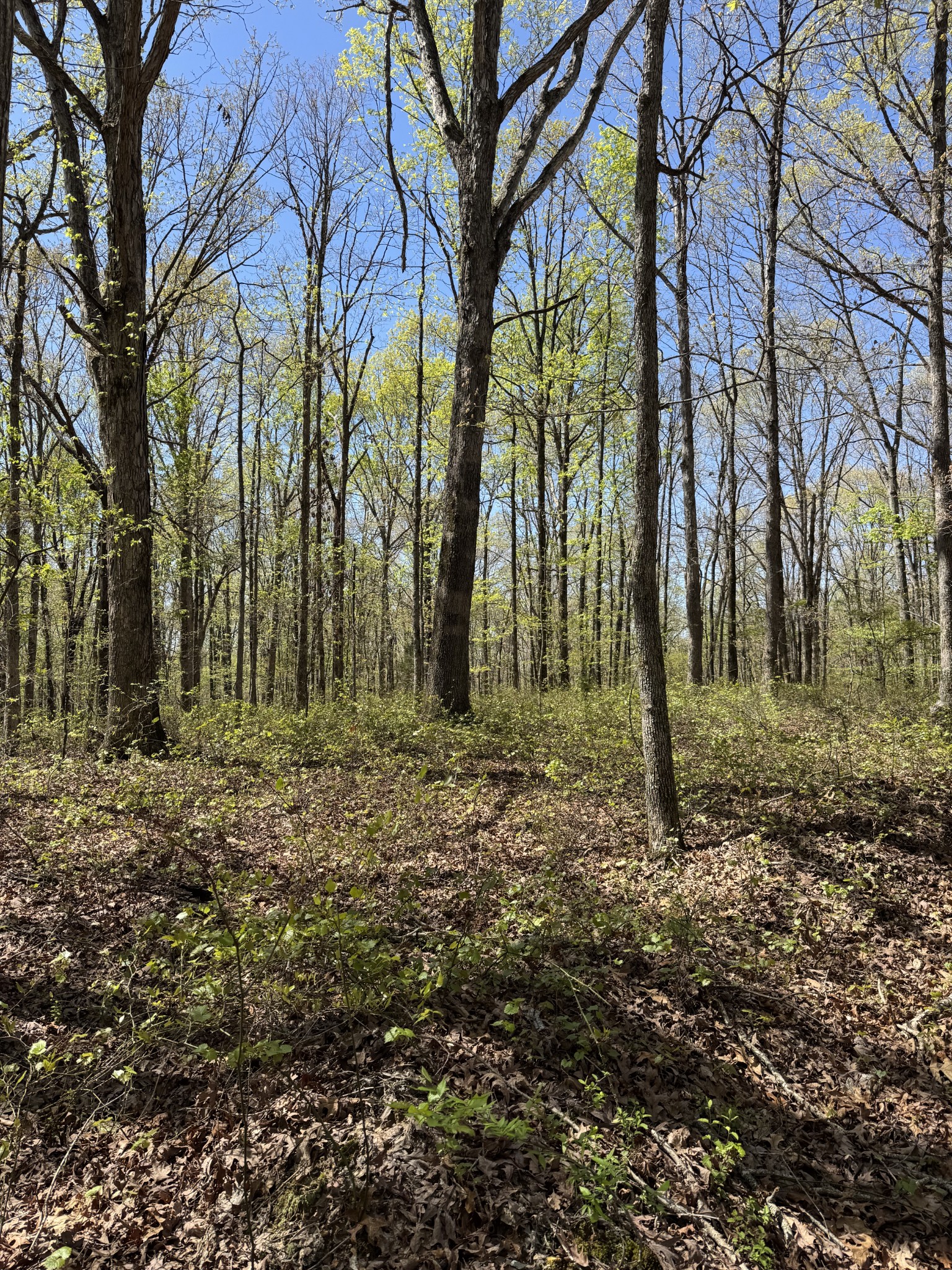 0 Indian Trail