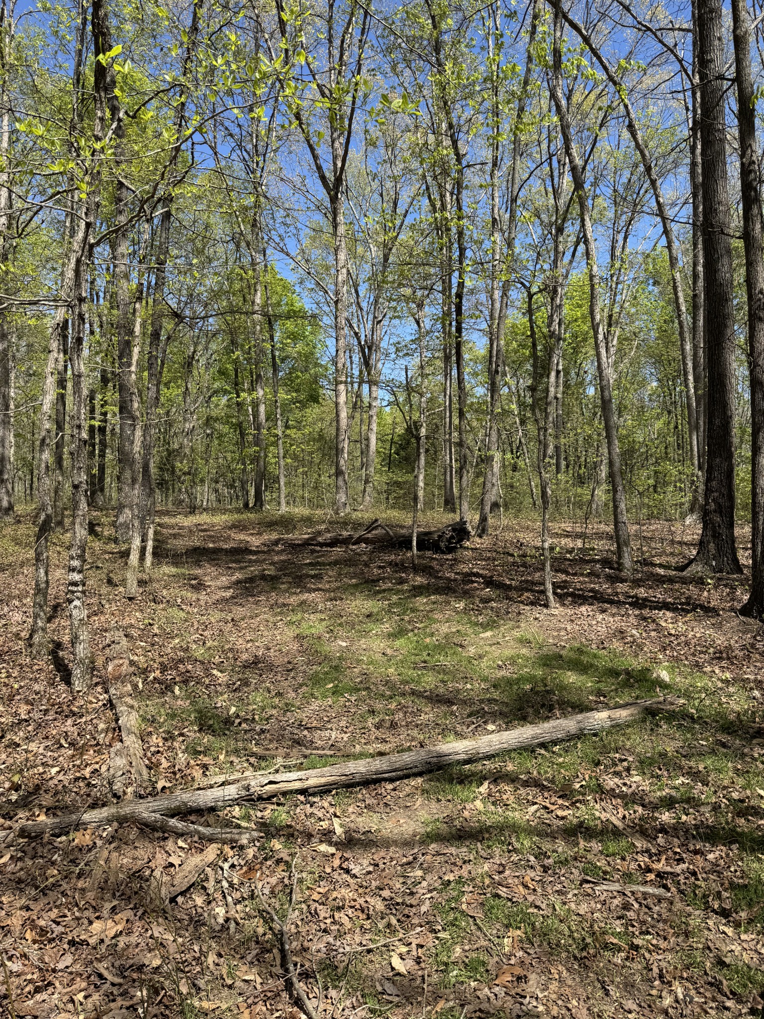 0 Indian Trail