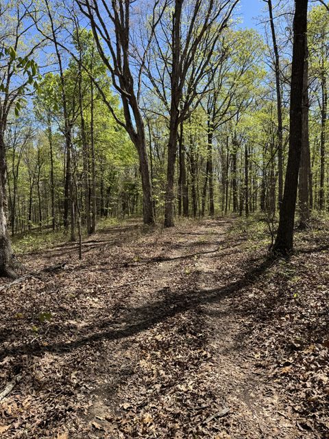 0 Indian Trail Mc Ewen TN 37101