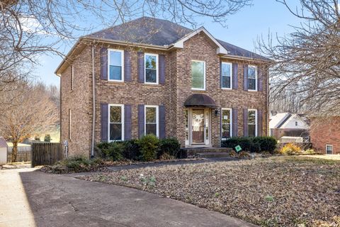 232 Trey Ct Clarksville TN 37043