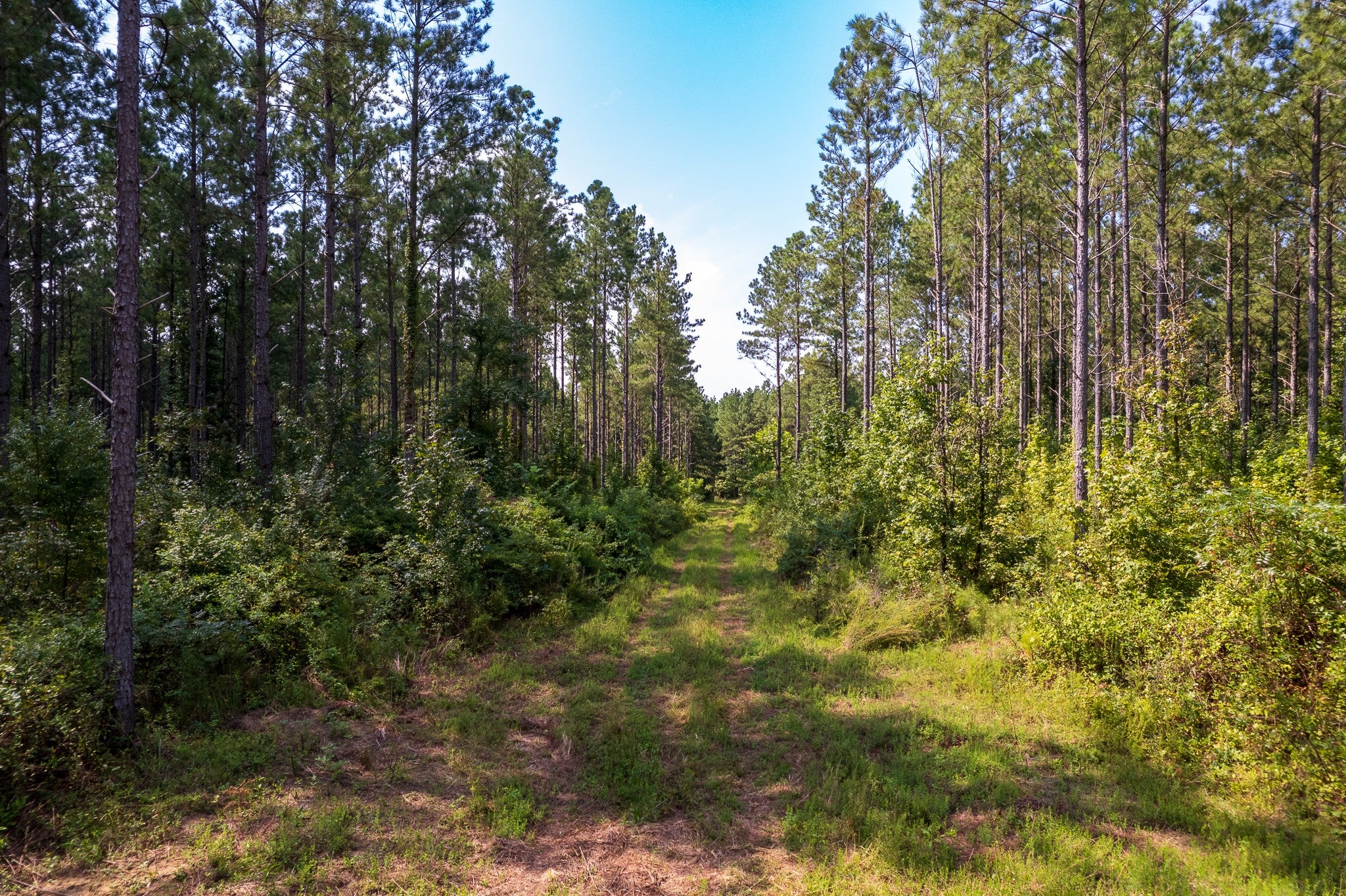 0 County Road 966