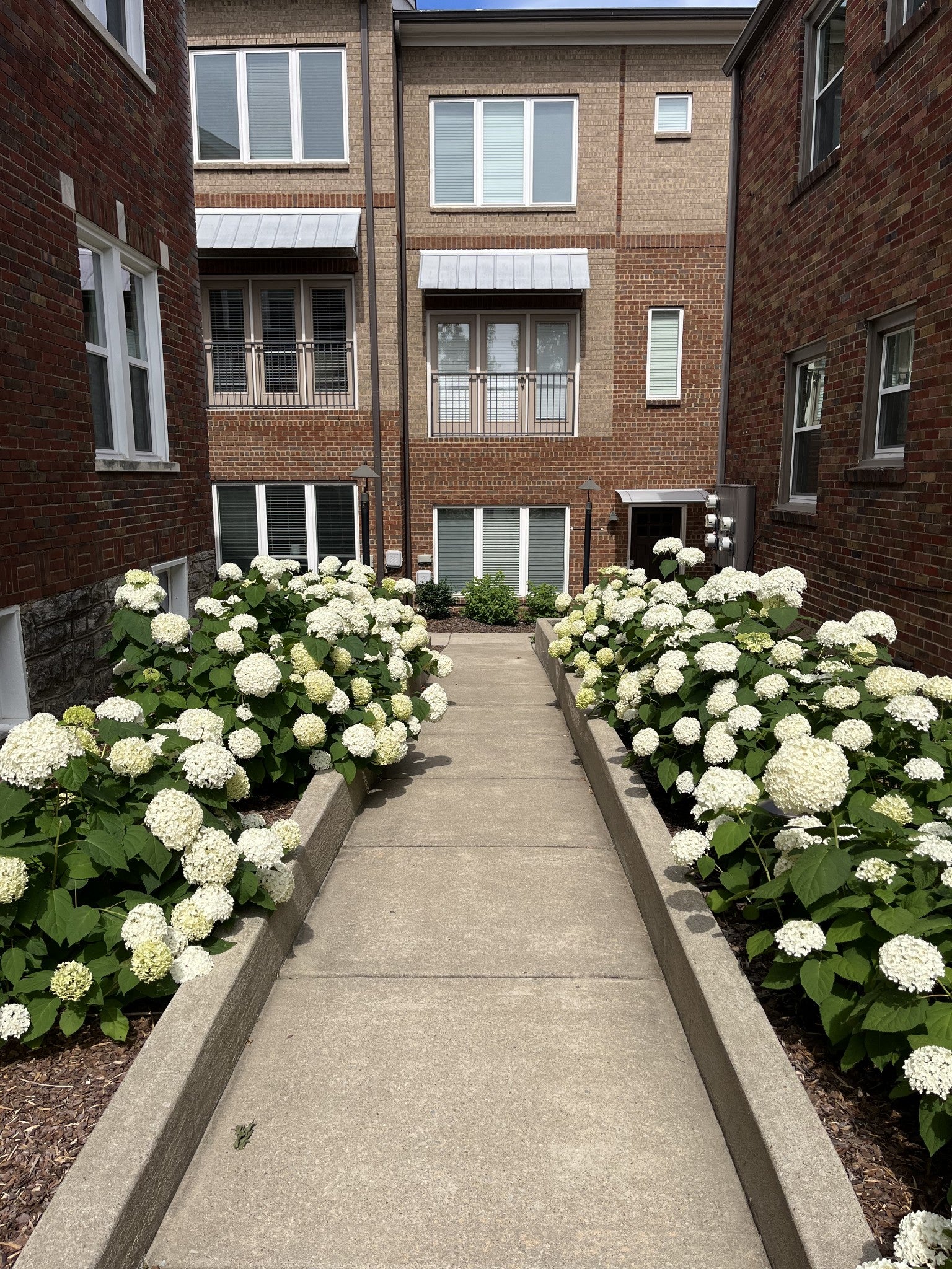 2003 Convent Pl 6