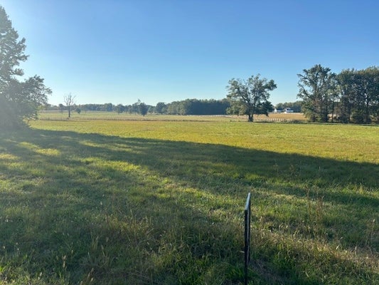 0 HALLTOWN RD, COTTONTOWN, TN 37048 - Image d71fea1d4cbac90b4989f3c5ee3e8cd6/62605291