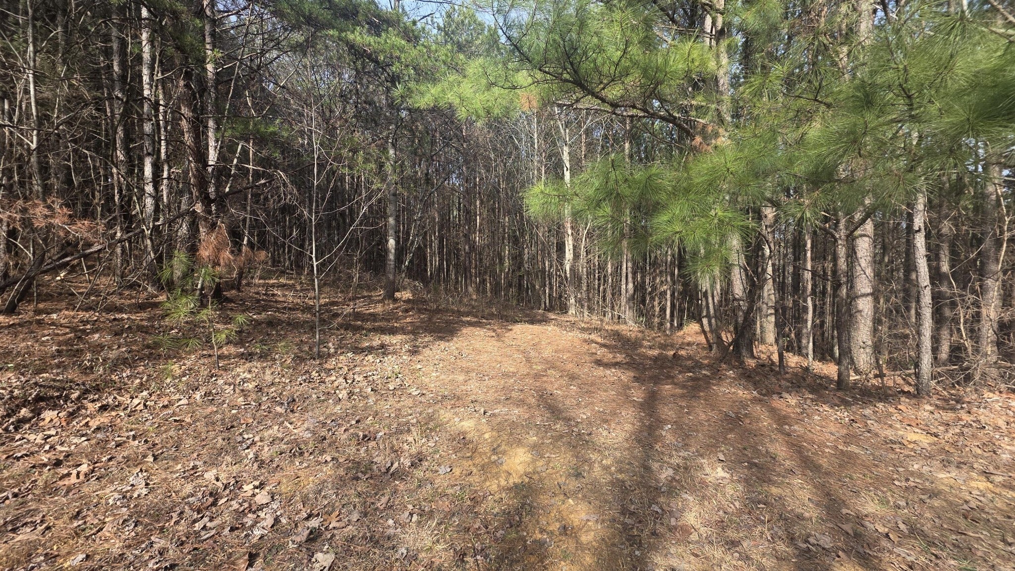 180 Rock Creek Drive