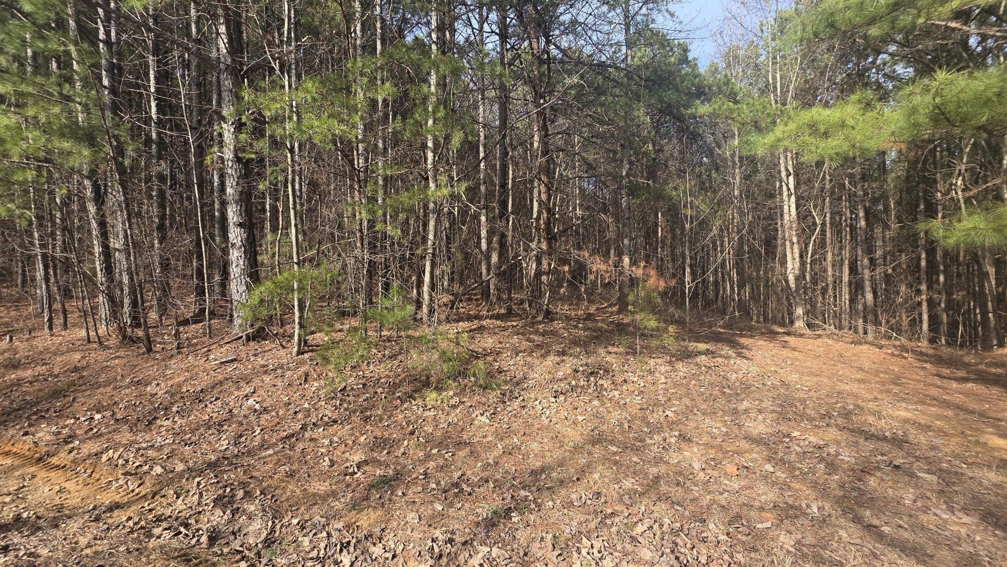 180 Rock Creek Drive