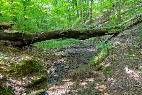 0 Smith Hollow Road Mount Pleasant TN 38474