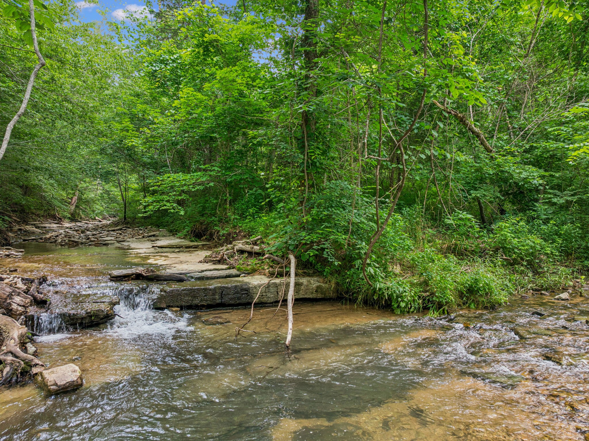 8663 Dog Creek Rd