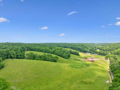 8663 Dog Creek Rd Primm Springs TN 38476