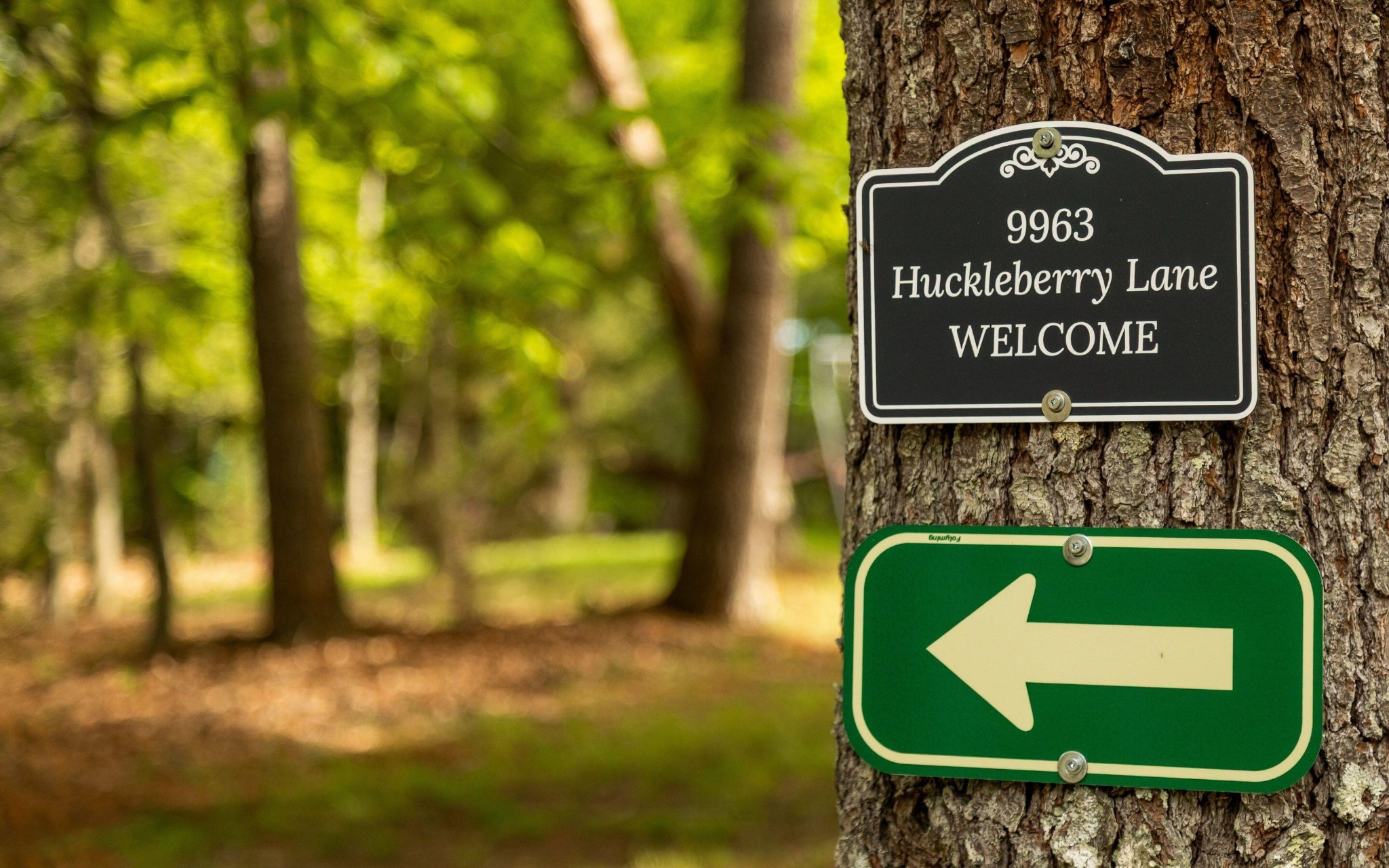 9963 Huckleberry Lane