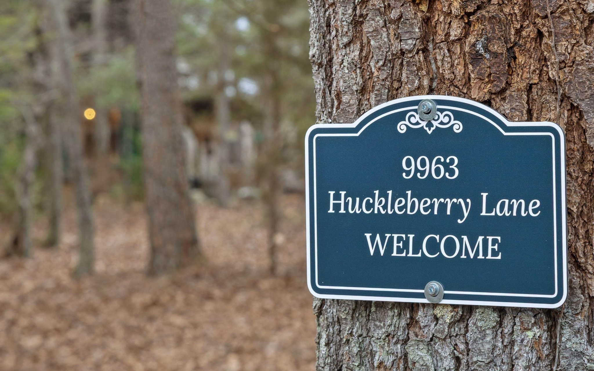 9963 Huckleberry Lane