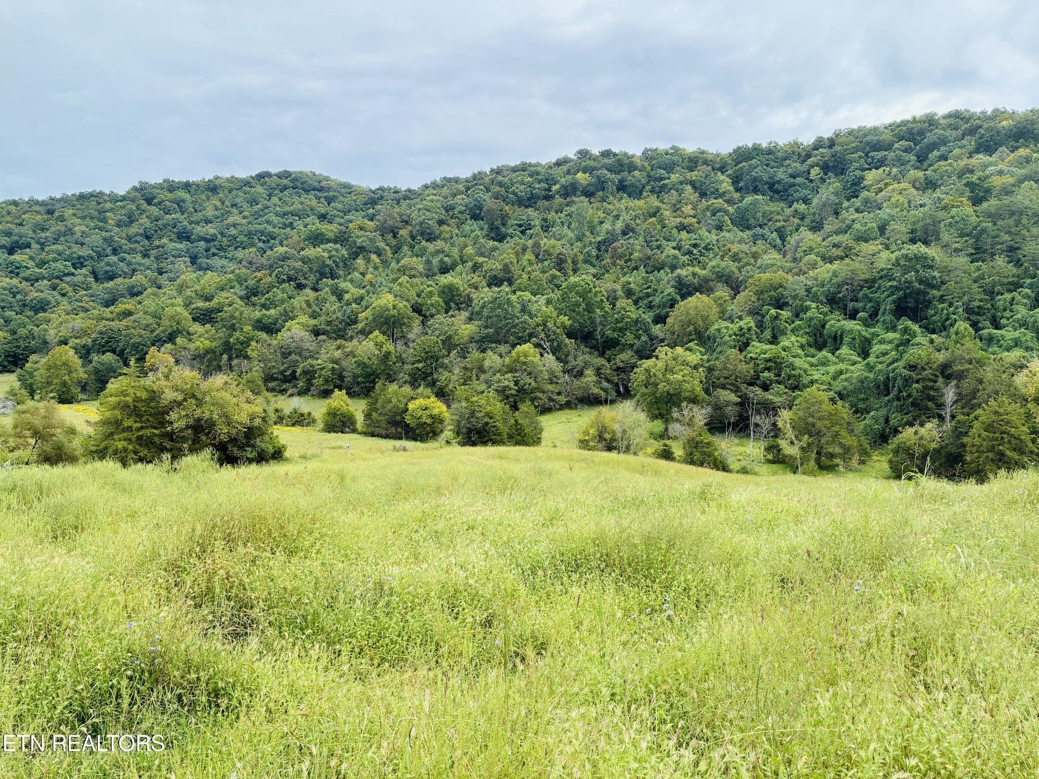 0 Cantwell Valley Rd