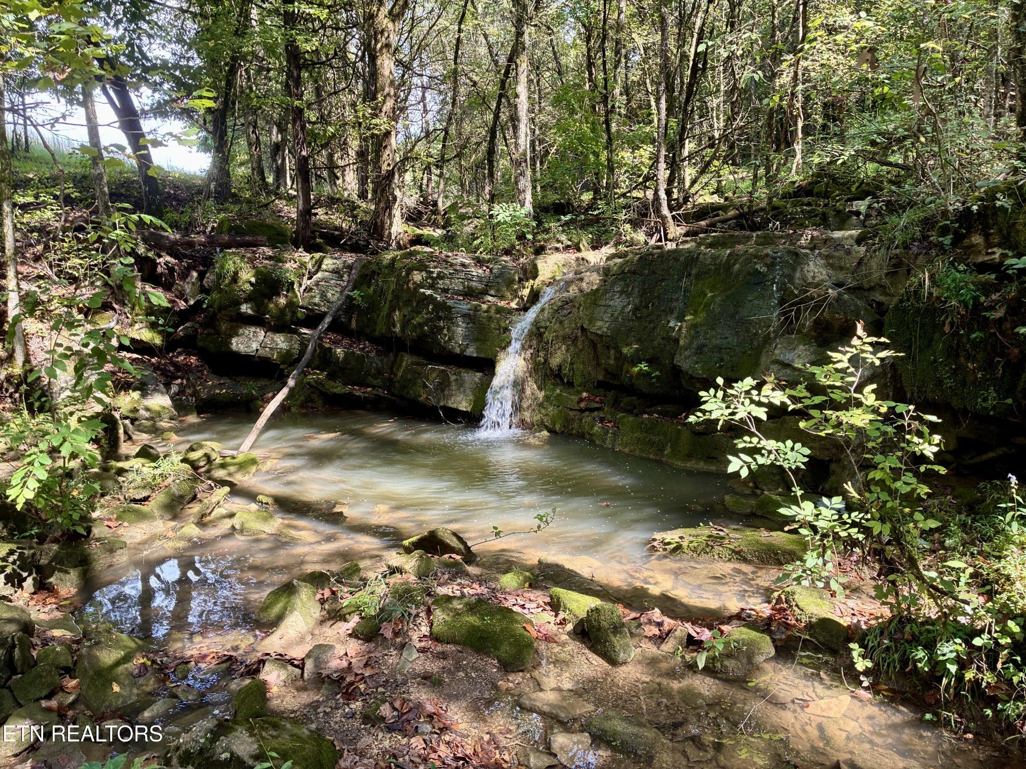 0 Cantwell Valley Rd