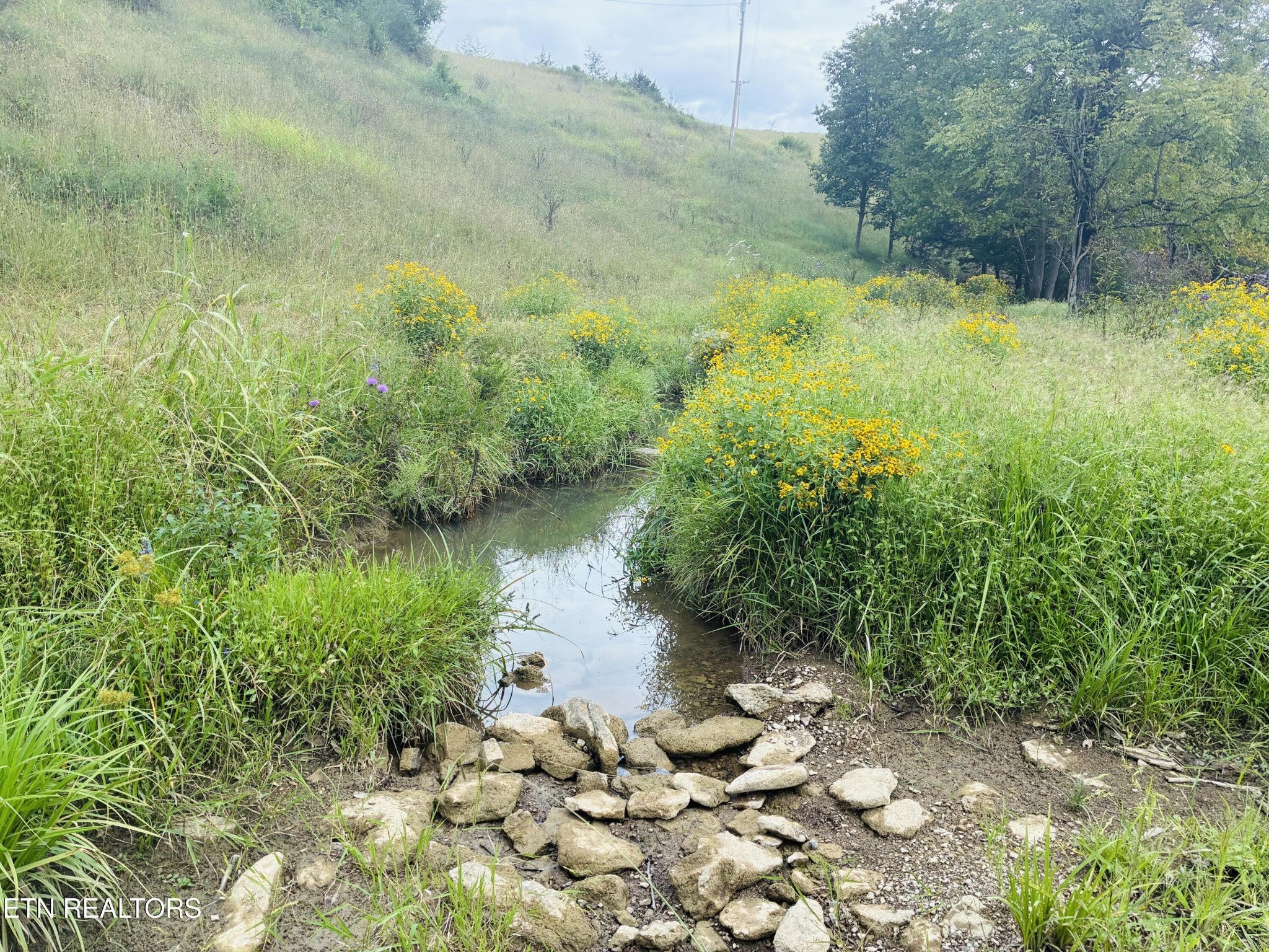 0 Cantwell Valley Rd