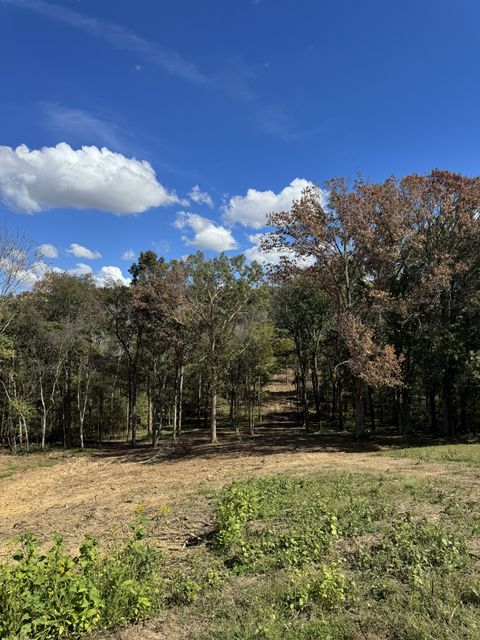 0 Palmer Rd Lebanon TN 37087