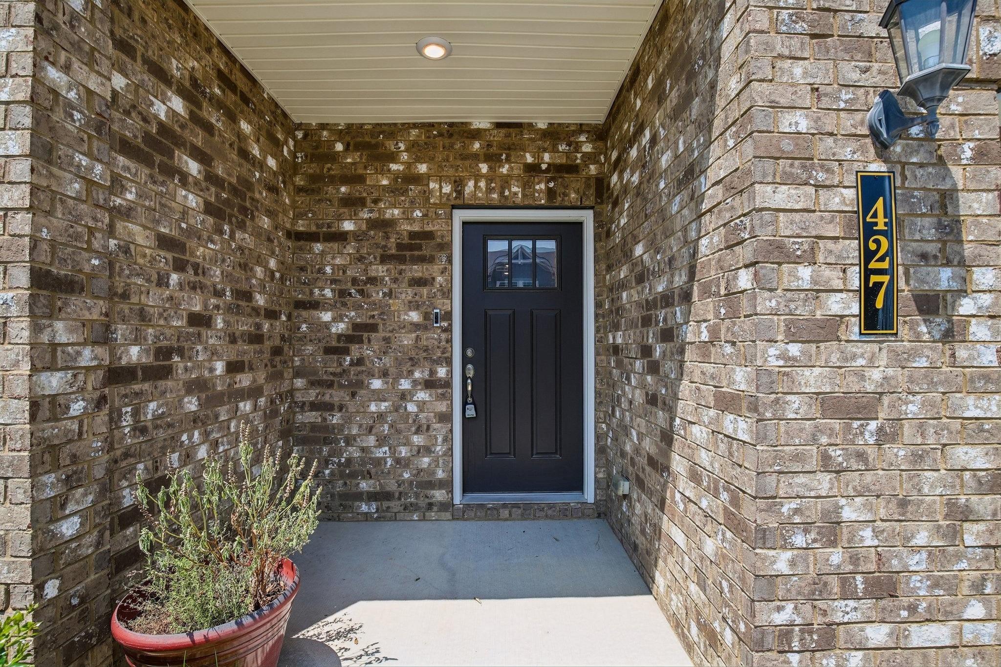 427 Palmetto Dr
